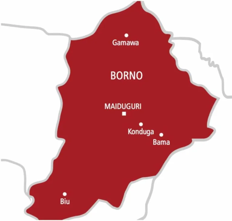 Outrage as Boko Haram Massacre Leaves 63 Dead in Borno