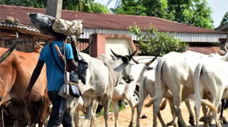 Tragedy Strikes: Suspected Herdsmen Launch Deadly Attack on Ebonyi Community, Leaving Scores Dead and Injured