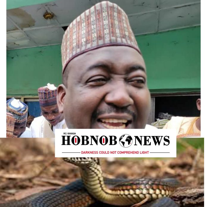 Kebbi APC Suspends Gov. Idris’ Adviser for Bringing Snake to Government House