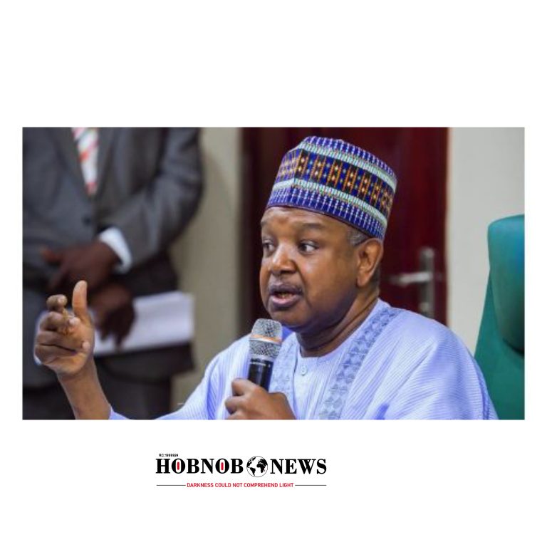 Nigeria Investing $1 Trillion in Solid Minerals, Constructing Four Lithium Plants – Bagudu