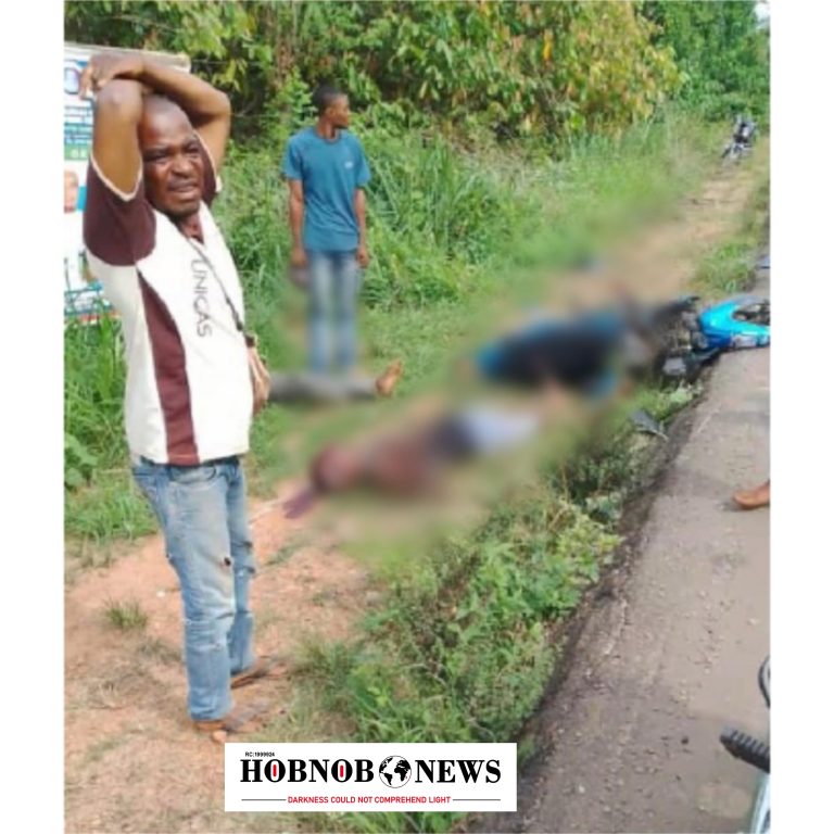 Stray Cow Kills Two Young Men in Ondo Motorcycle Crash