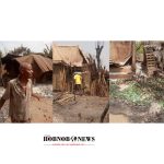 Herdsmen Attacks Leave Eha-Amufu Farm Settlements Devastated, Residents Displaced