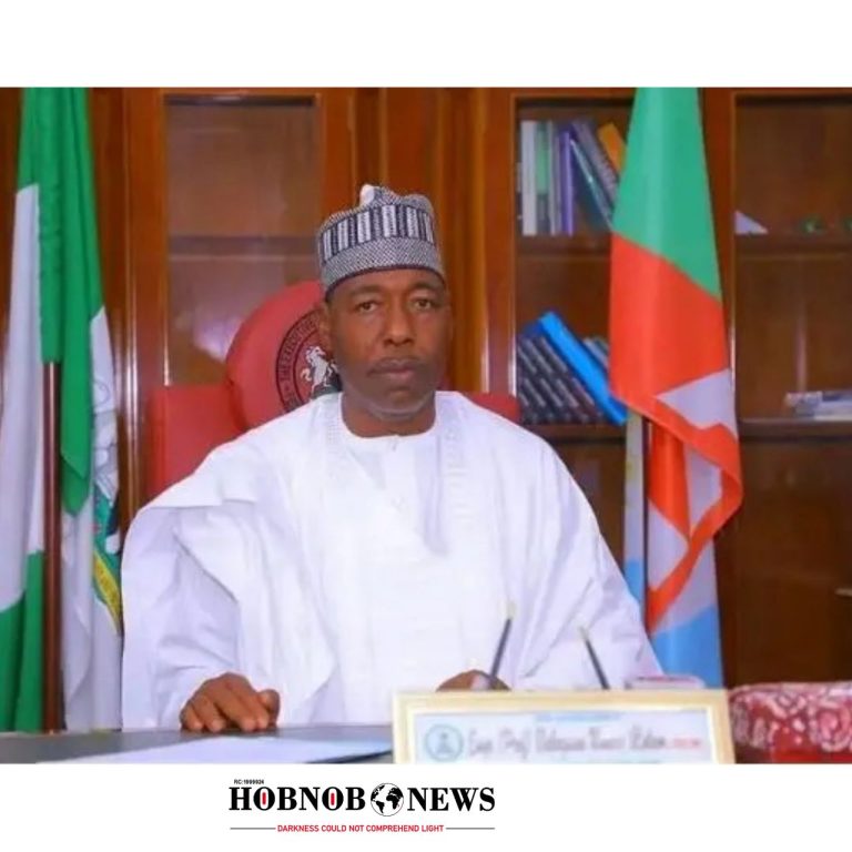 Governor Zulum Calls Information Minister Naive Over Security Remarks in Borno