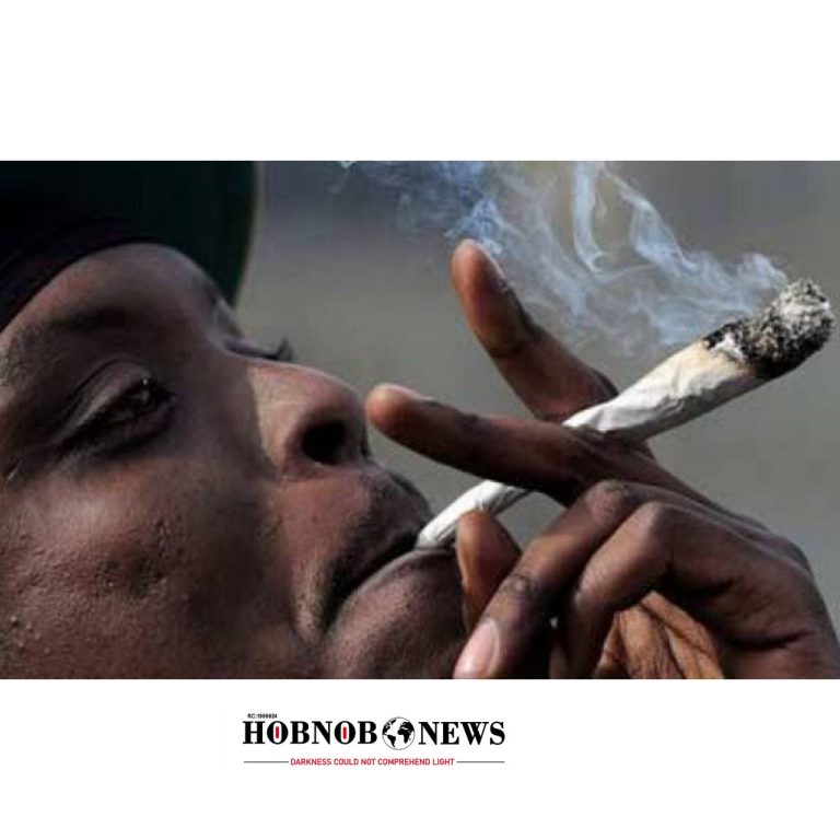 NDLEA Commander Raises Alarm Over Growing 'Loud' Cannabis Use in Oyo State