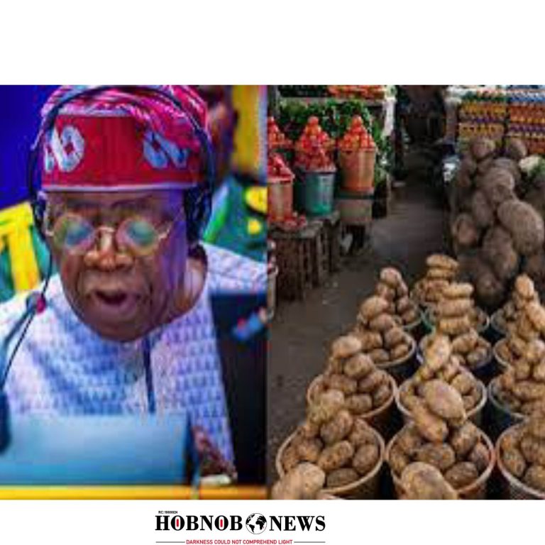 President Tinubu Declares National Emergency on Food Security, Urges Enhanced Irrigation and Water Management Across Africa