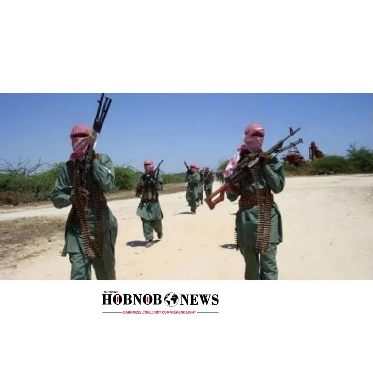 Terrorist Group ‘Mahmuda’ Emerges in North Central Nigeria, Kills Dozens in Fresh Attacks