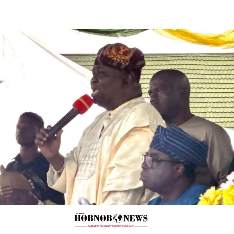 Senator Adeola Denies Report Claiming Buhari Borrowed $400 Billion to Stabilize Naira