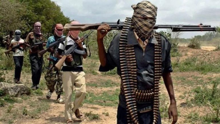 Three Customs Officers Killed in Kebbi as ISWAP Threatens Border Security — Adeniyi Raises Alarm