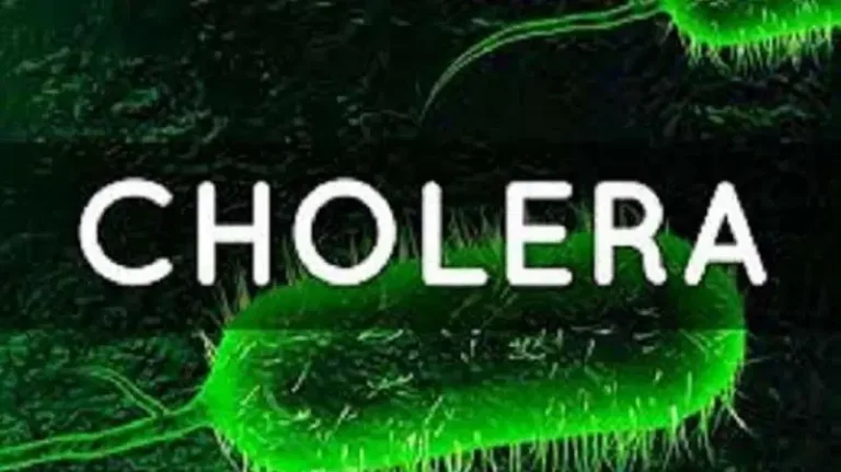 Cholera Outbreak in Plateau: 3 Dead, 5 Confirmed Cases Spark Emergency Response