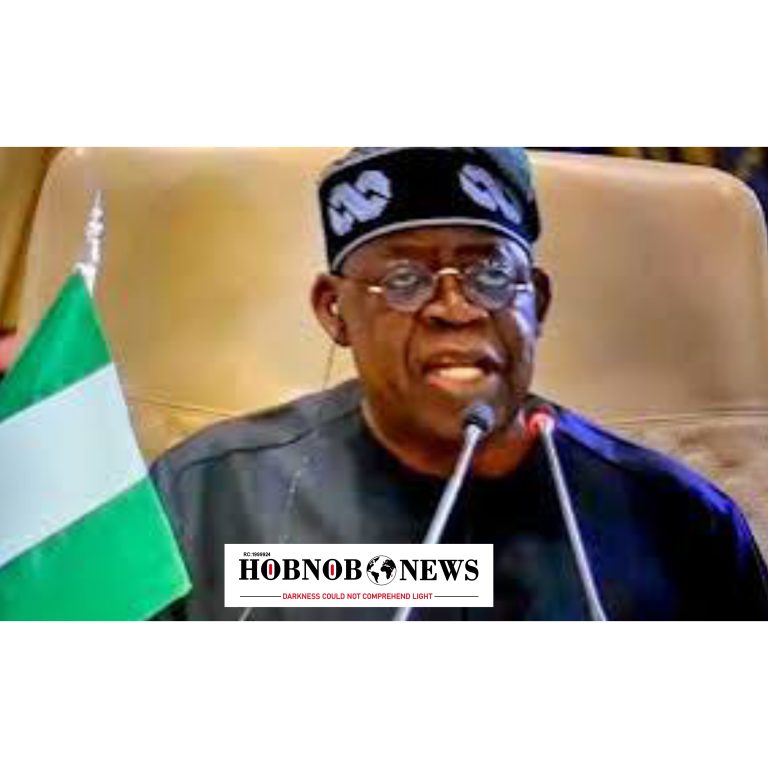 Tinubu Media Aide Denies President Is Seeking $20 Billion Lump Sum Loan