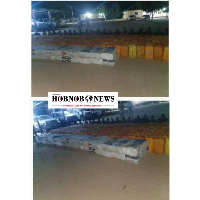 Troops Discover Terrorists Fueling Station in Borno, Kill 7 ISWAP Fighters