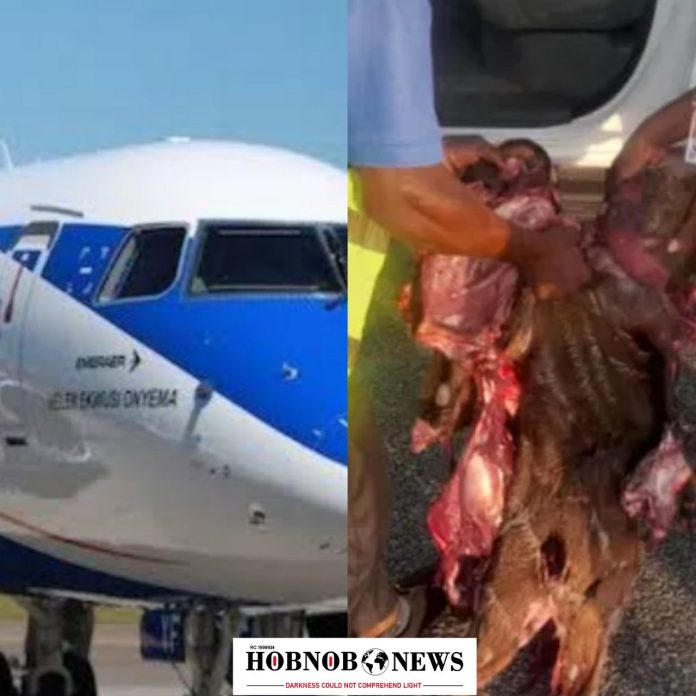 Air Peace Flight Hits Antelope on Abuja Runway, Causing Disruptions