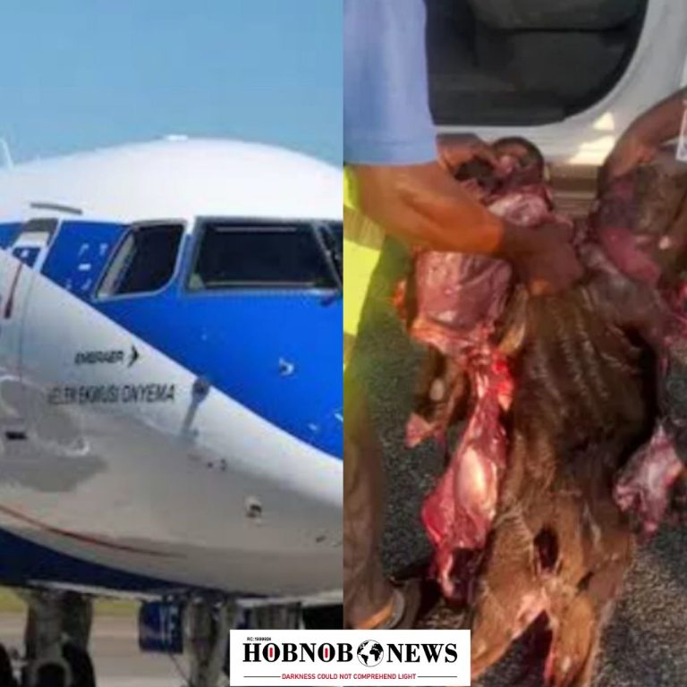 Air Peace Flight Hits Antelope on Abuja Runway, Causing Disruptions