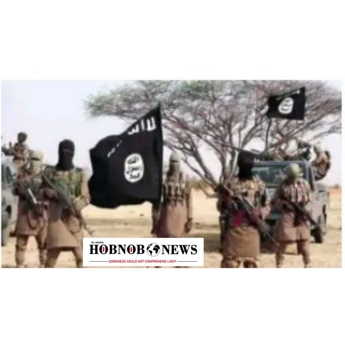 ISWAP Fighters Flee with 15 Corpses After Failed Midnight Attack on New Marte