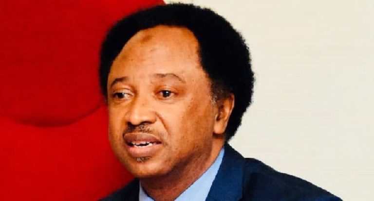 Enough Talk, More Action: Shehu Sani Urges FG to Abandon Summits and Intensify Anti-Terror Fight