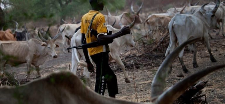 Catholic Priest Shot by Suspected Herdsmen in Benue — Two Others Abducted