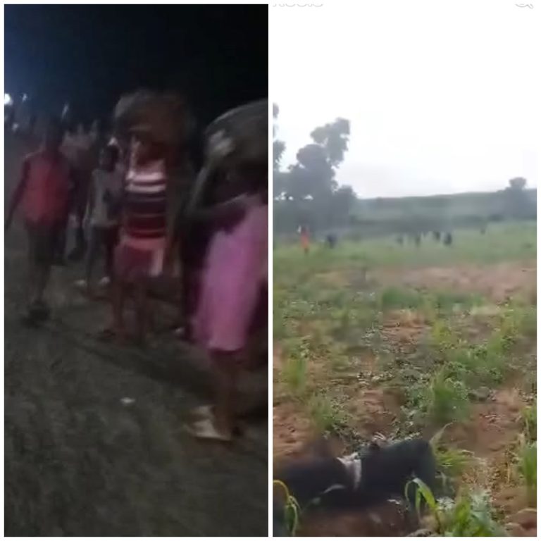 Disturbing Video Shows Benue Residents Fleeing Agan Amid Reports of Herders’ Attack