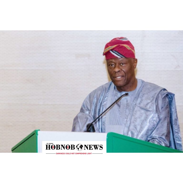 Nigeria, JICA Move to Finalise ¥15bn Loan Deal for Food Security Boost