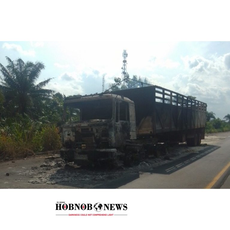 Gunmen Kill Two Truck Drivers in Imo, Set Bodies and Vehicle Ablaze