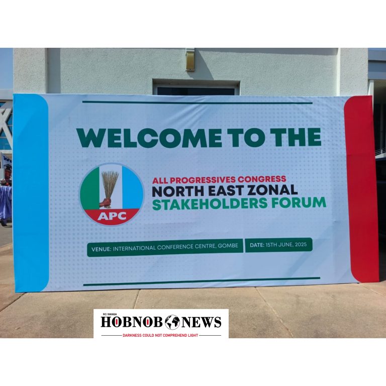APC North-East Meeting Turns Chaotic After Shettima Is Left Out of Tinubu Endorsement
