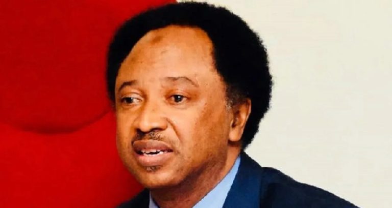 SHEHU SANI: EL-RUFAI, AMAECHI OWE NIGERIANS AN APOLOGY FOR NATION’S WOES