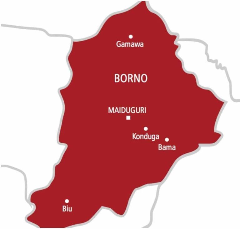Catholic Priest, Nine Others Abducted by Boko Haram on Gwoza-Limankara Road; One Killed