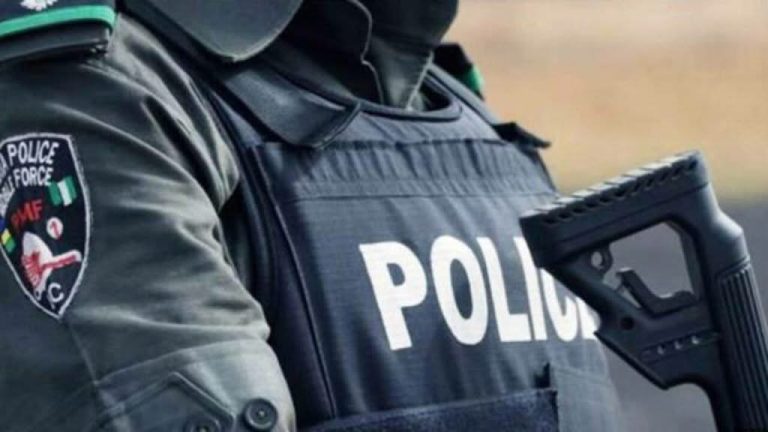 FCT Police Order Arrest of Woman Abusing 14-Year-Old Maid