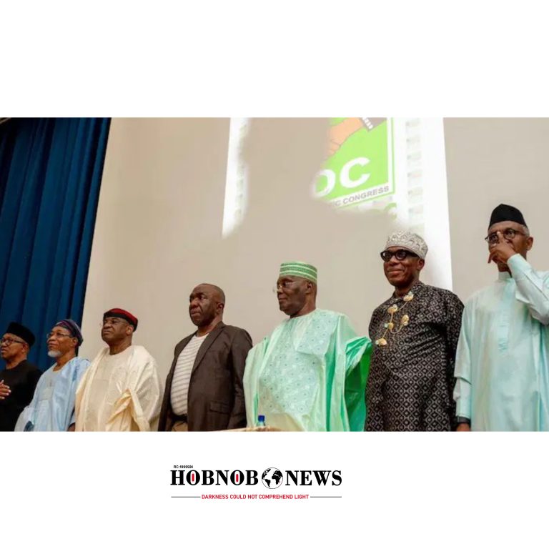 ADC Intensifies Coalition Moves, Takes Over PDP Structures in Northern States