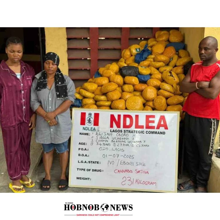 Family-Run Drug Cartel Busted in Lagos as NDLEA, DSS Seize Over 500kg of Skunk