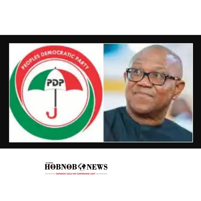 PDP Confirms Moves to Woo Peter Obi Back Ahead of 2027 Elections