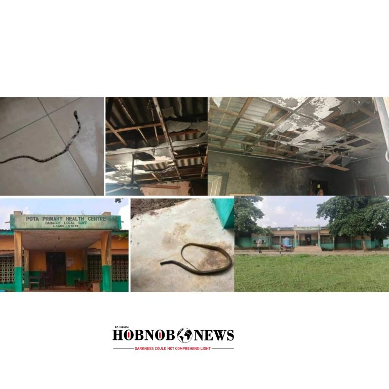 Snakes Overrun Pota Primary Health Centre as Neglect Pushes Badagry to Breaking Point