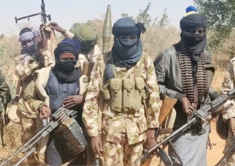 Amnesty International Slams Northern Senators’ Response to Zamfara Massacre as “Insufficient”