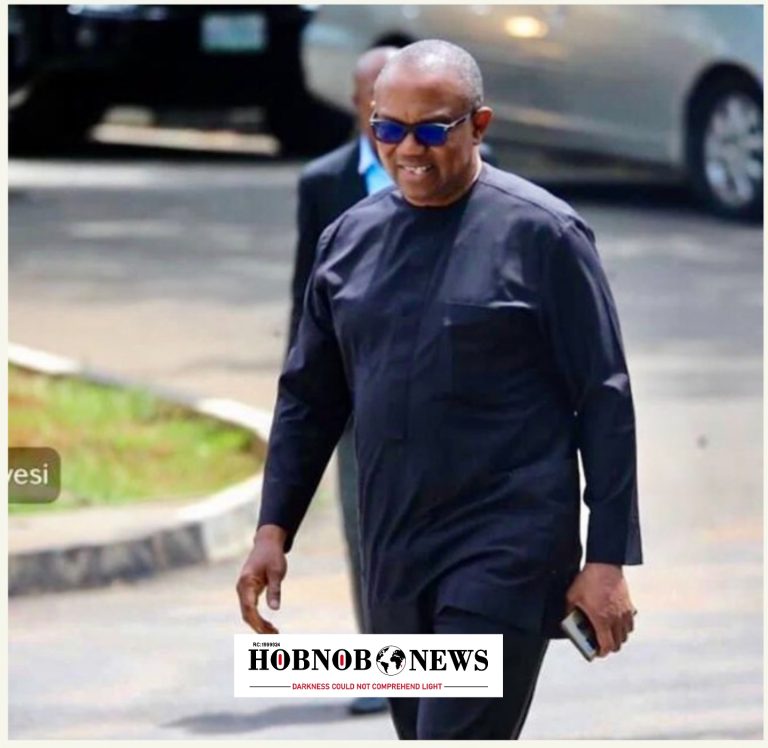 Kachikwu Alleges Jonathan Offered Obi Ministerial Slot to Quit 2027 Race