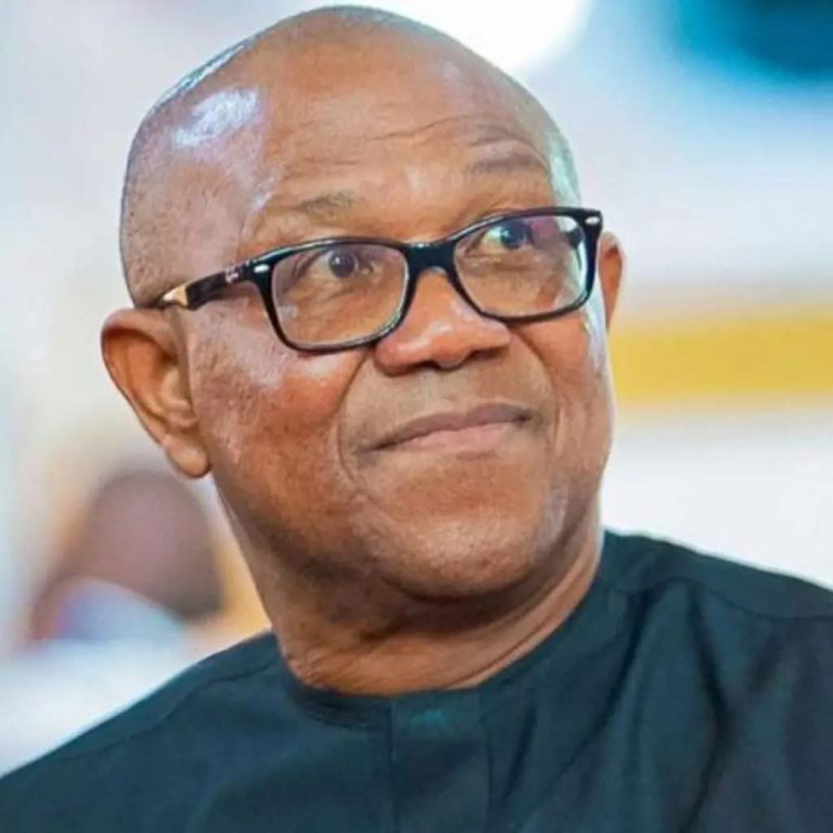 2027: Goodluck Jonathan’s Candidacy More Attractive Than Obi’s — Arewa Consultative Forum
