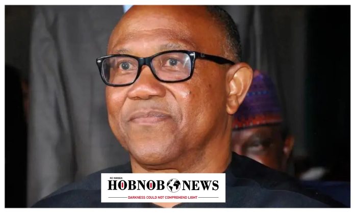 2027: Unease in ADC Over Peter Obi’s Political Moves