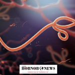 Nigeria Tightens Border Surveillance as Ebola Outbreak Hits DR Congo