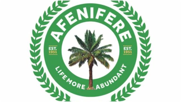 Afenifere Warns of Terrorist Incursions in Kwara, Kogi