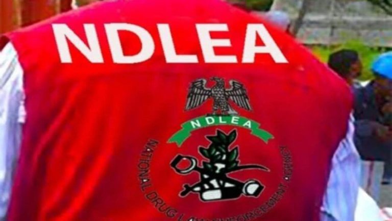 NDLEA Clarifies Comments on Cannabis Oil Export, Says Remarks Were Personal Opinions, Not Government Policy