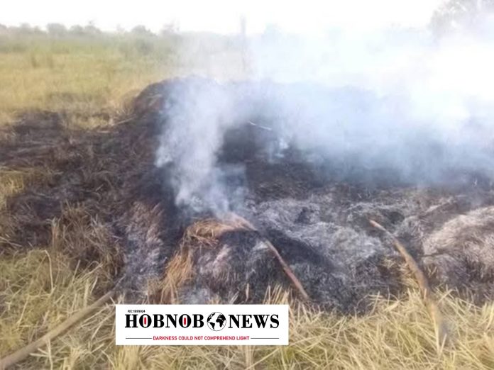 Suspected Herdsmen Set Benue Rice Farm Ablaze, Destroy Several Hectares