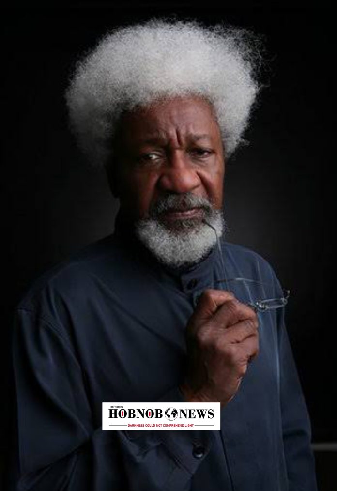 Prof Wole Soyinka Says He Won’t Assess Tinubu Yet, Speaks on US Visa Revocation