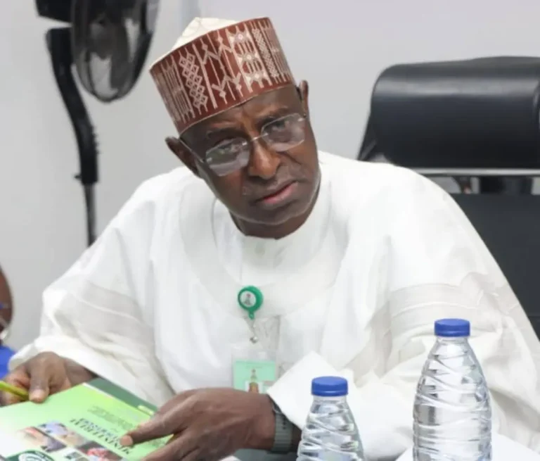 Nigerian Government Outlaws Open Grazing to Curb Farmers-Herders Clashes