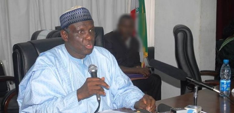Bandits May Be Abducting Children as Human Shields Amid Fears of Airstrikes — Jerry Gana Warns