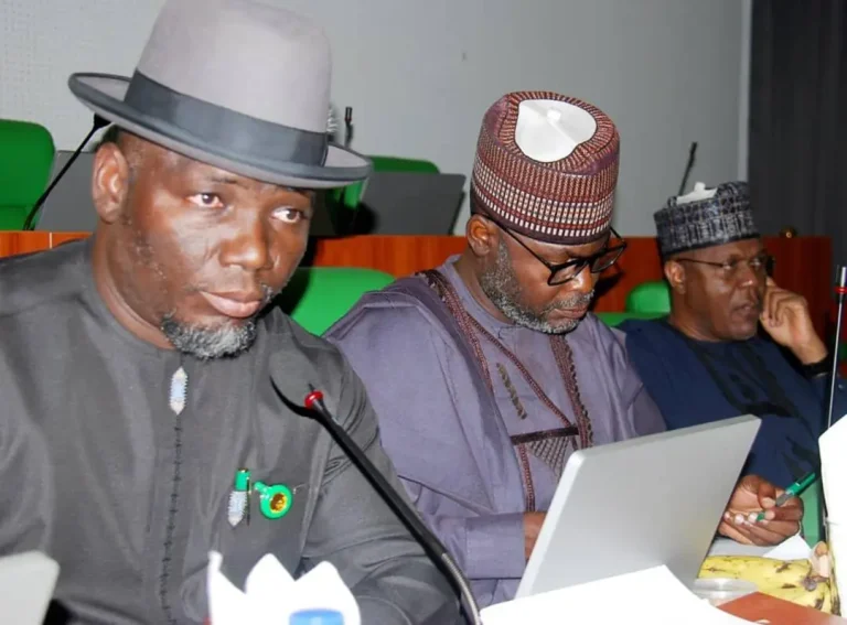 Reps probe MDAs over N1.65trn clean-up funds for oil-producing communities