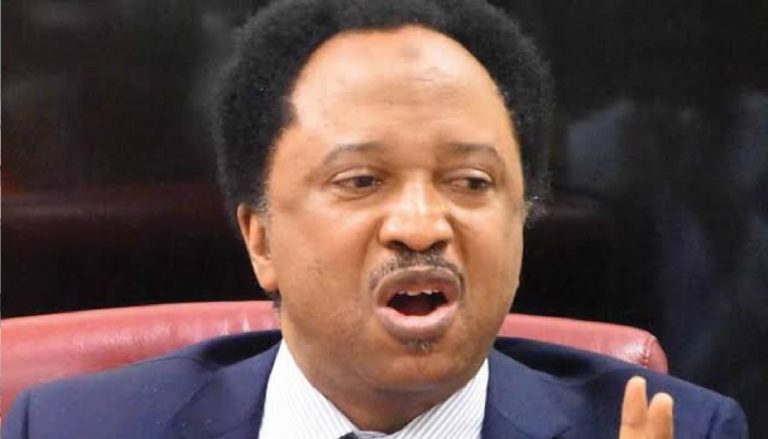 “America Is Not Your Father’s House” — Shehu Sani Cautions Nigerians after U.S. Visa Crackdown