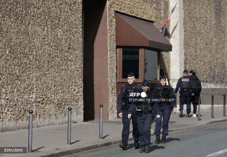 French Court Hands 10-Year Prison Sentence to Repatriated IS-Affiliated Woman