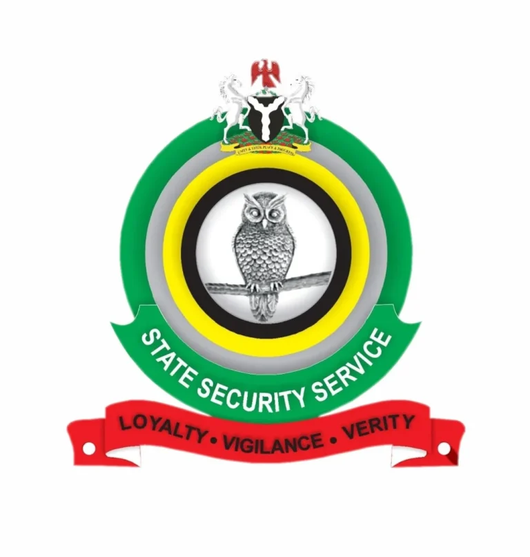 SECURITY SHIFT: DSS Personnel Lobby for VIP Roles as Private Firms Report 70% Surge in Demand