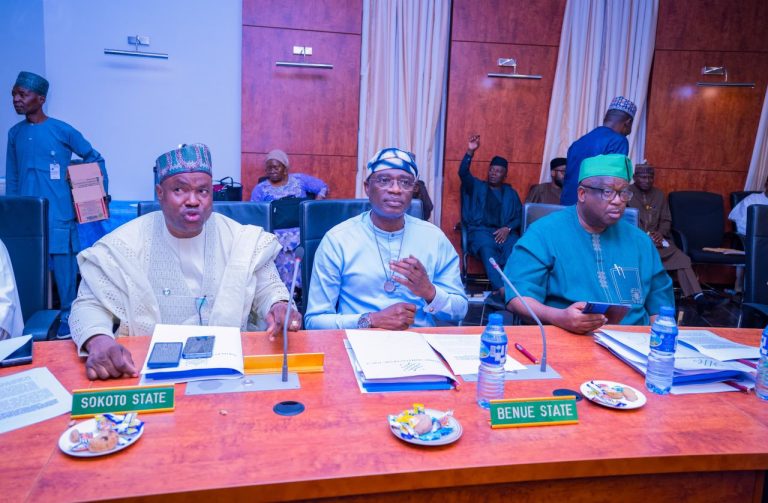 NORTHERN GOVERNORS, TRADITIONAL RULERS MOVE TO TIGHTEN SECURITY, SEEK SUSPENSION OF MINING ACTIVITIES
