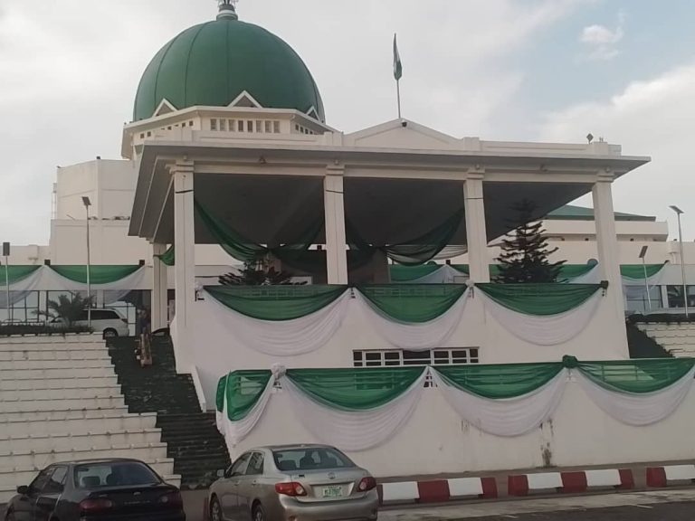 N’Assembly Orders Release of Certified Tax Laws, Opens Probe Into Alleged Alterations