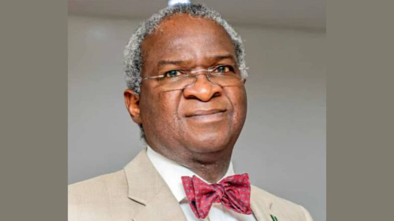 Visa Bans: Nigeria Must Stand Tall, Not Beg — Fashola