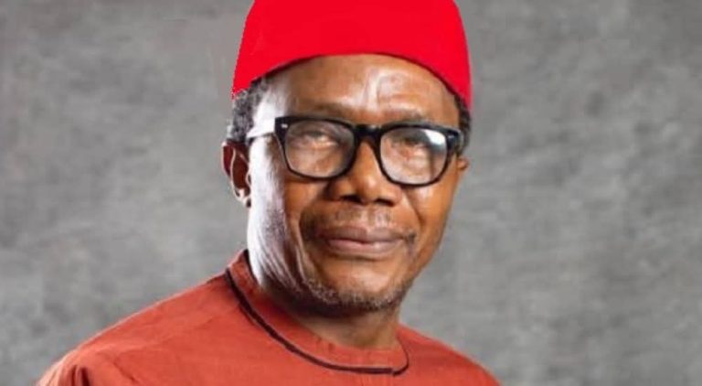 Anambra Loses N8bn Weekly to Sit-at-Home, Says Information Commissioner